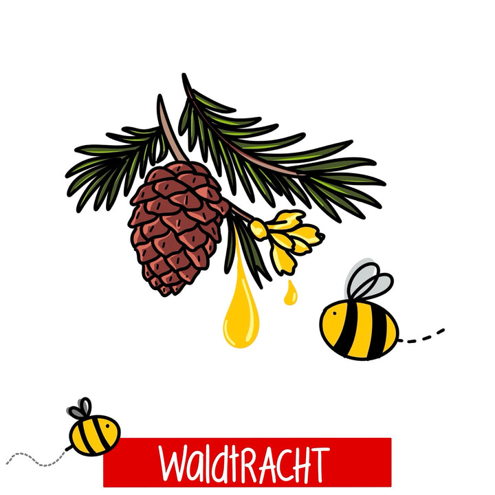 Fortgeschrittenenkurs: Waldtracht – erkennen, vorhersagen und nutzen