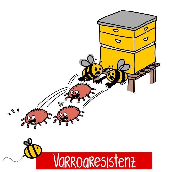 Mein Weg zur Varroaresistenz - Kurs für Fortgeschrittene mit Jan Luesink