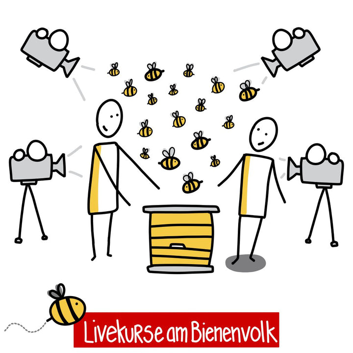 Livekurs  am Bienenvolk für Fortgeschrittene (ergänzend zum Kurs "angepasster Brutraum")