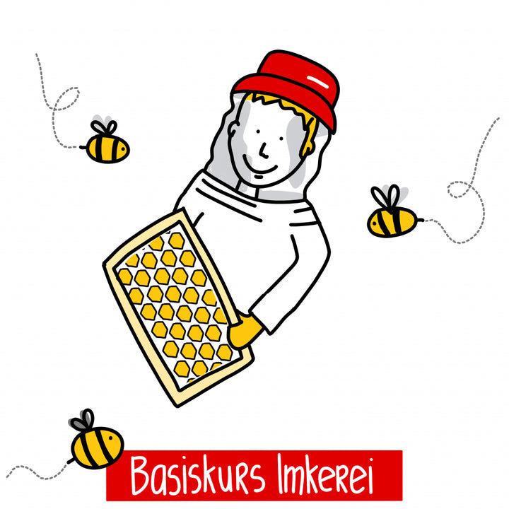 Imker Anfängerkurs mit Zertifikat